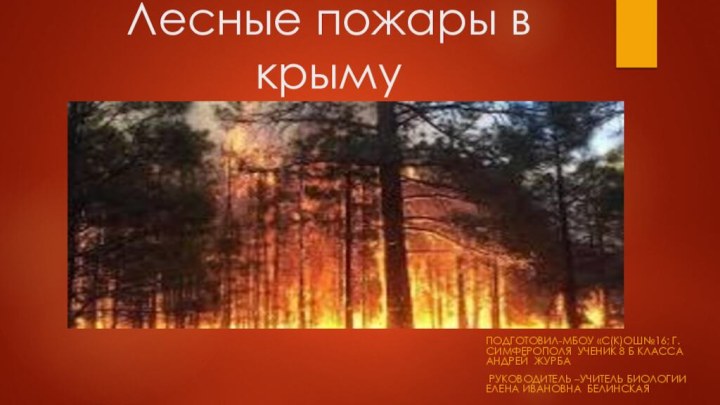 Лесные пожары в крыму Подготовил-МБОУ «С(К)ОШ№16; г. симферополя ученик 8 б класса