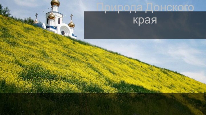 Природа Донского края