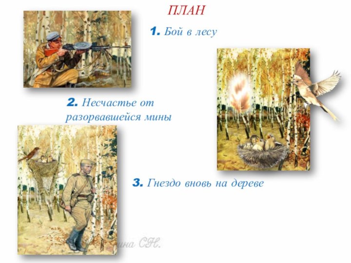 ПЛАН1. Бой в лесу2. Несчастье от разорвавшейся мины3. Гнездо вновь на дереве