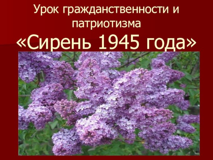 Урок гражданственности и патриотизма  «Сирень 1945 года»