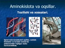 Презентация по биологии на тему Аминокислоталар (9 класс на узбекском языке)