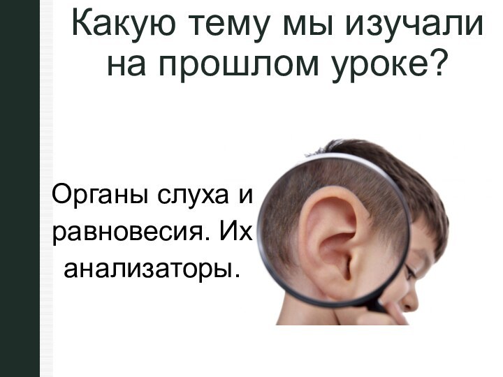 Какую тему мы изучали на прошлом уроке? Органы слуха и равновесия. Их анализаторы.