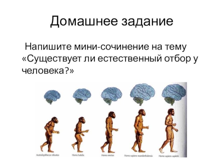 Домашнее задание   Напишите мини-сочинение на тему «Существует ли естественный отбор у человека?»