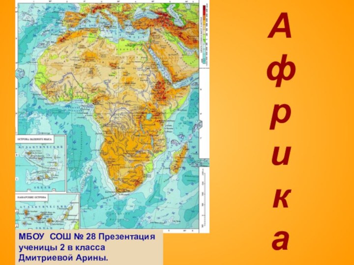 А ф р и к аМБОУ СОШ № 28 Презентация ученицы 2 в класса Дмитриевой Арины.