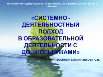 Системно-деятельностный подход в образовательной деятельности дошкольников