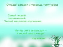 Презентация по изобразительному искусству на тему  Рисуем подснежник (2-3 класс)