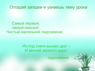 Презентация по изобразительному искусству на тему  Рисуем подснежник (2-3 класс)