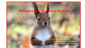 Интересные факты о белках