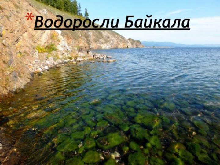 Водоросли Байкала