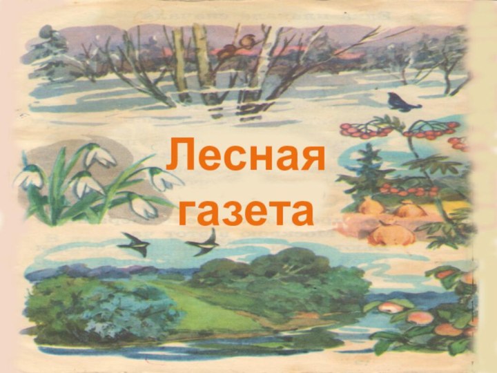 Лесная газета