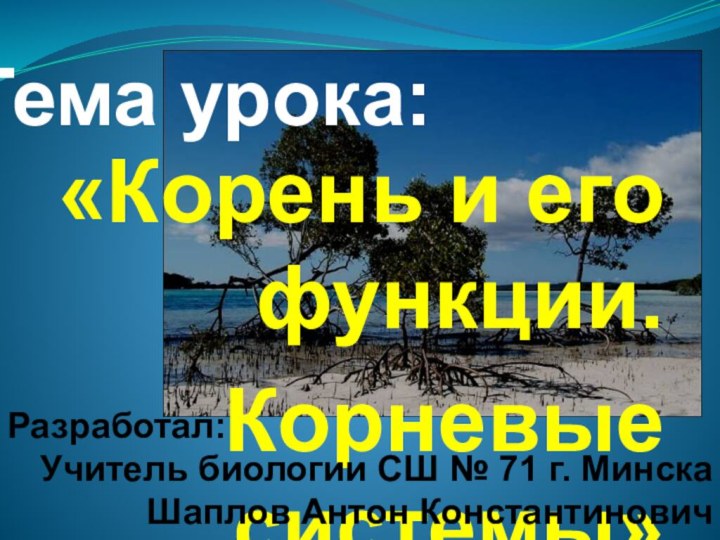 Тема урока: «Корень и его функции.Корневые системы»Разработал:Учитель биологии СШ № 71 г. МинскаШаплов Антон Константинович