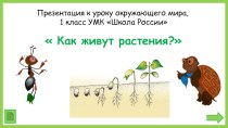 Презентация к уроку окружающего мира в 1 классе  Как живут растения.