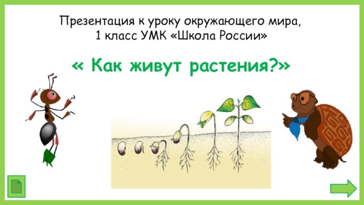 Презентация к уроку окружающего мира,  1 класс УМК «Школа России»« Как живут растения?»