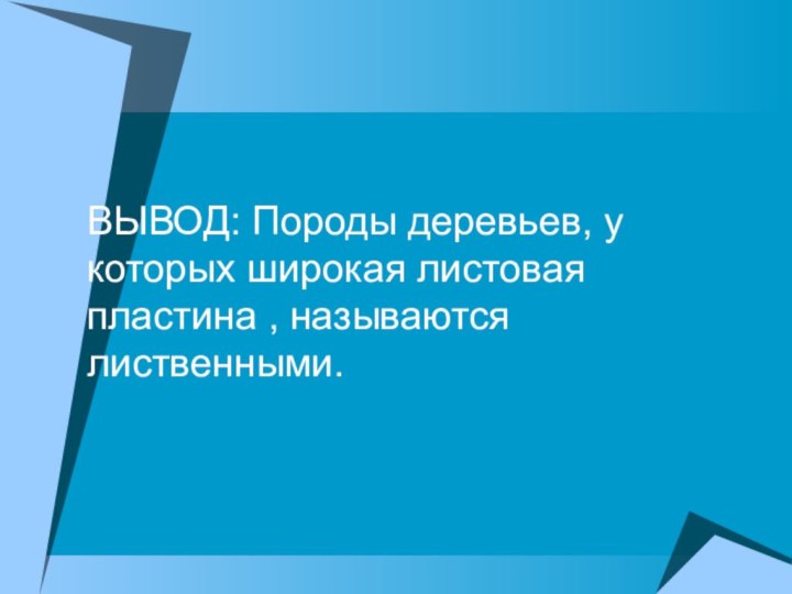 ВЫВОД: Породы деревьев, у которых широкая листовая пластина , называются лиственными.