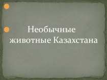 Устный популярно-познавательный журнал  Необычные животные Казахстана