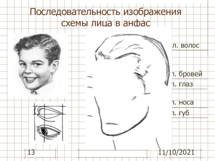 11/10/2021Последовательность изображения схемы лица в анфасл. волосл. бровейл. носал. глазл. губ