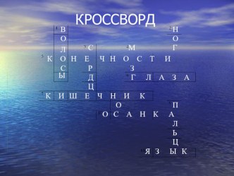 Презентация по окружающему миру Кроссворд по теме Организм человека