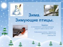 Презентация Зима. Зимующие птицы Ознакомление с окружающим миром в 1 классе