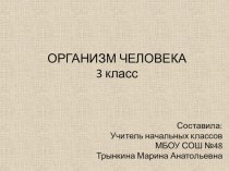 Кроссворд по окружающему миру на тему Организм человека (3 класс)