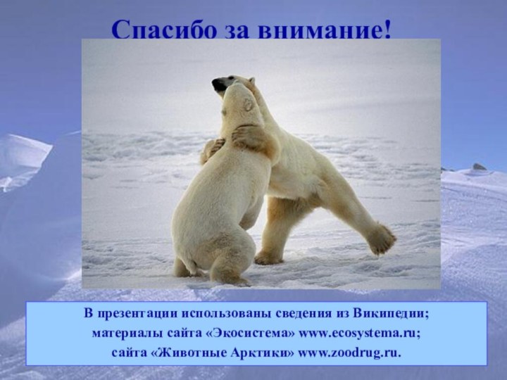 Спасибо за внимание! В презентации использованы сведения из Википедии;материалы сайта «Экосистема» www.есоsystеmа.ru;сайта «Животные Арктики» www.zoodrug.ru.