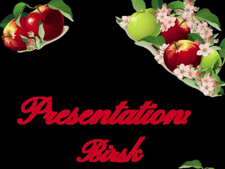 Presentation: Birsk
