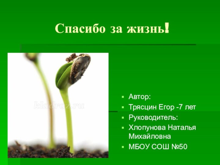 Спасибо за жизнь!Автор: Трясцин Егор -7 летРуководитель:Хлопунова Наталья МихайловнаМБОУ СОШ №50