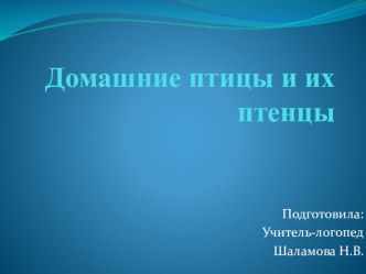 Презентация для логопедического занятия в старшей группе на тему Домашние птицы и их птенцы