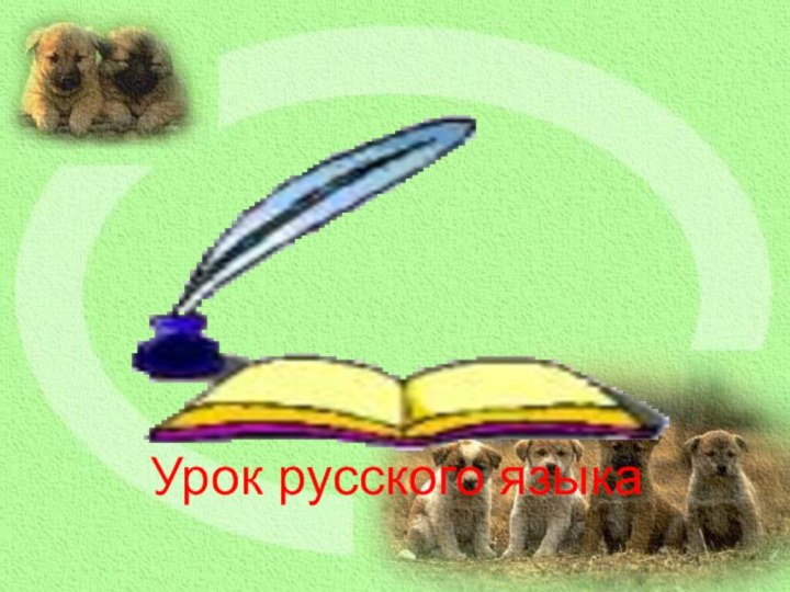 Урок русского языка