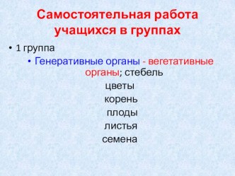 Презентация урока по биологии:Типы и виды корневых систем