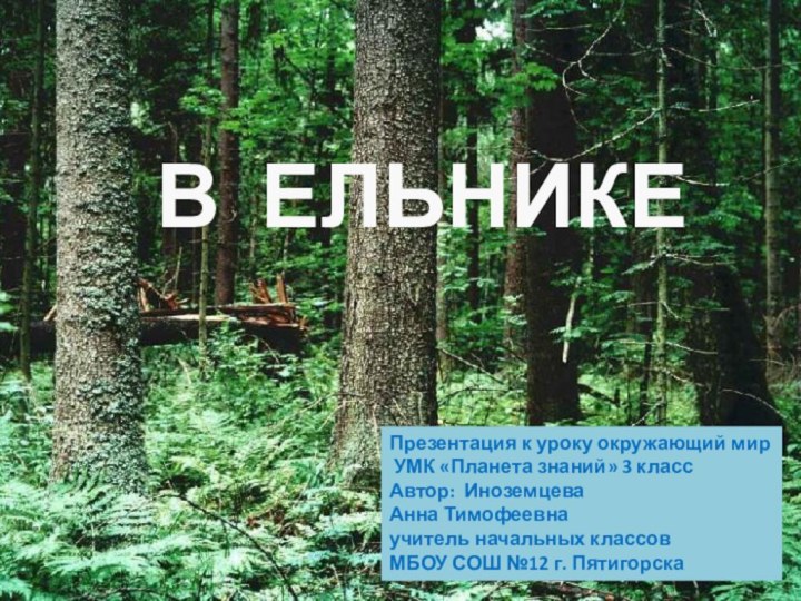 В ЕЛЬНИКЕПрезентация к уроку окружающий мир УМК «Планета знаний» 3 классАвтор: Иноземцева