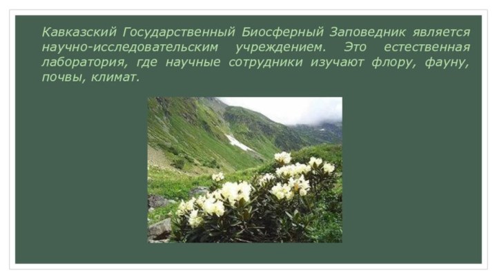 Кавказский Государственный Биосферный Заповедник является научно-исследовательским учреждением. Это естественная лаборатория, где научные