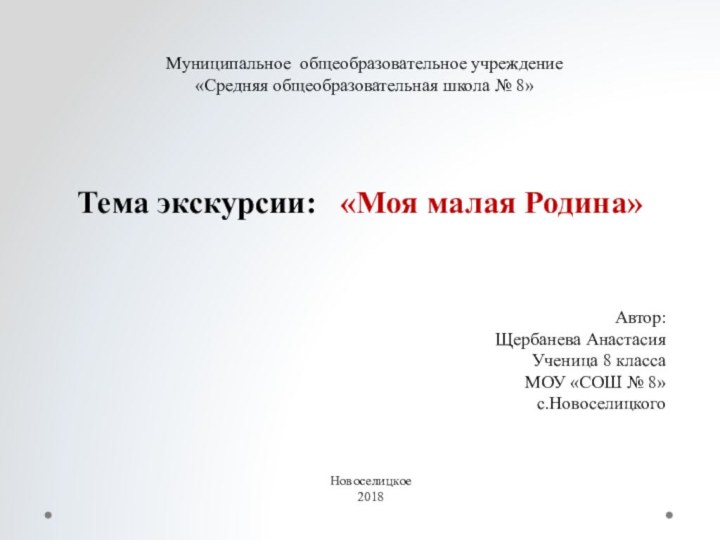 Муниципальное общеобразовательное учреждение «Средняя общеобразовательная школа № 8»Тема экскурсии:  «Моя малая