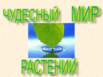 Чудесный мир растений. Классный сас