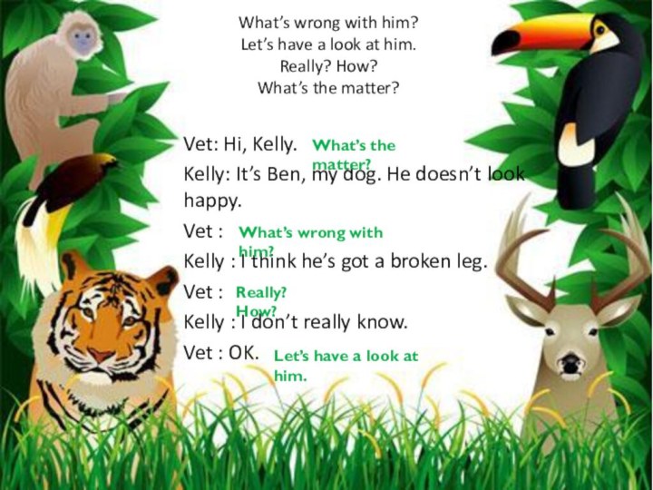 Vet: Hi, Kelly. Kelly: It’s Ben, my dog. He doesn’t look happy.Vet