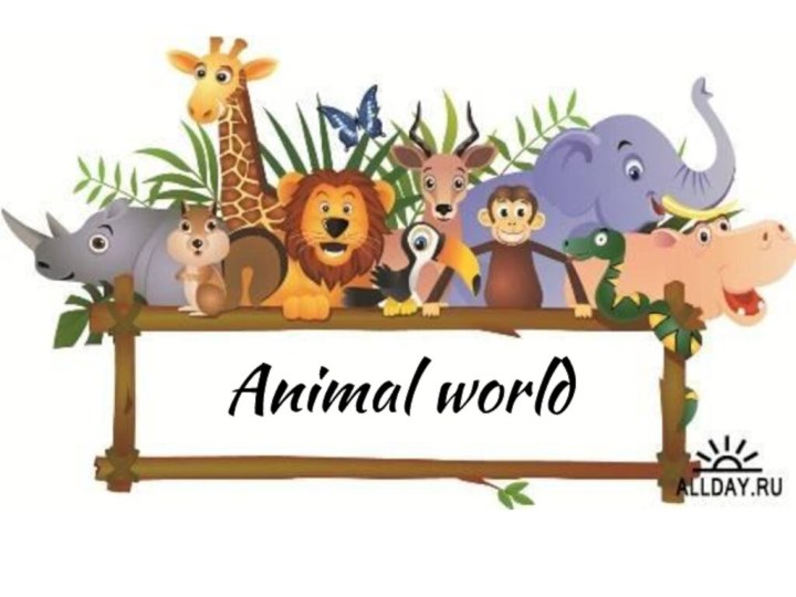 Animal world