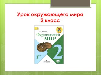 Презентация по окружающему миру на тему Путешествие(2 класс)