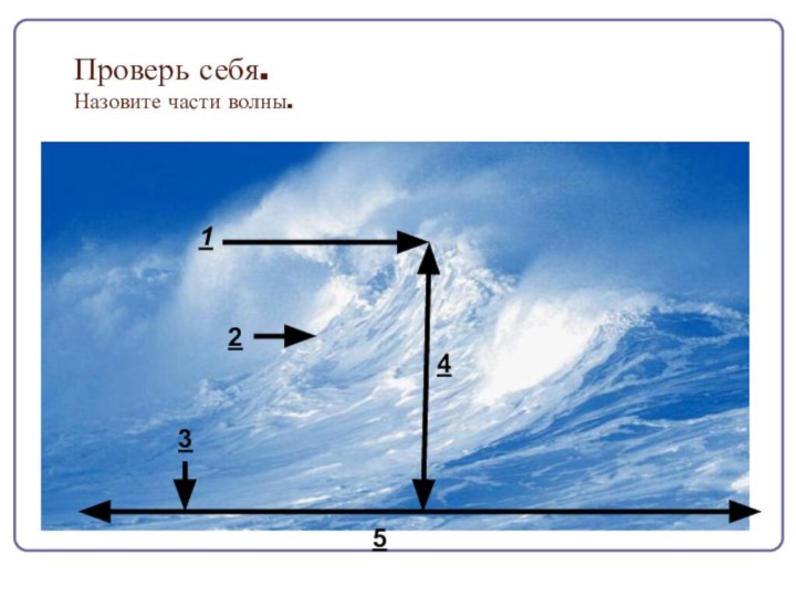 Проверь себя. Назовите части волны.12345