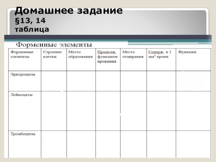 Домашнее задание §13, 14 таблица