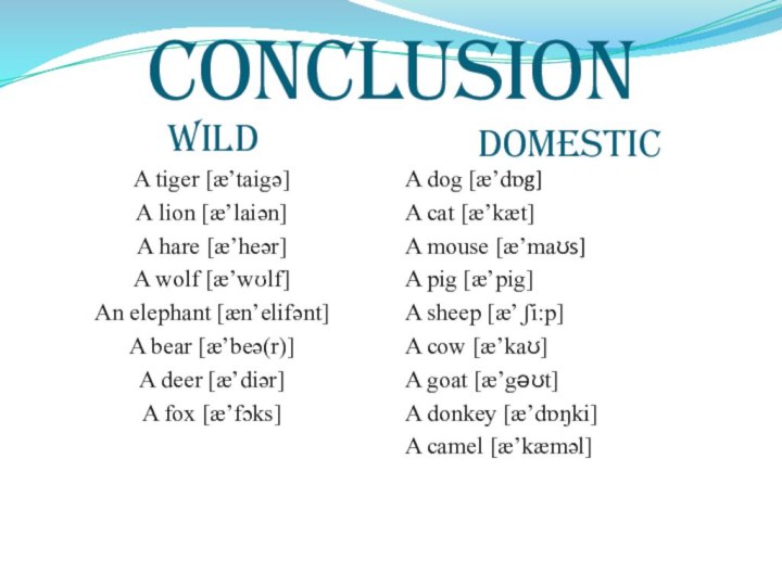 conclusionwilddomesticA tiger [æ’taigə]A lion [æ’laiən]A hare [æ’heər]A wolf [æ’wʊlf]An elephant [æn’elifənt]A bear