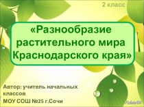 Презентация по кубановедению для 2 класса Растительный мир Краснодарского края. Растения леса