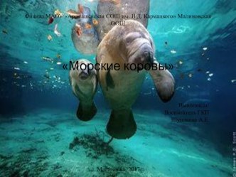 Презентация по окружающему миру Морские коровы