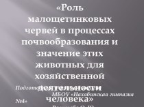 Роль малощетинковых червей в процессах почвообразования и значение этих животных для хозяйственной деятельности человека