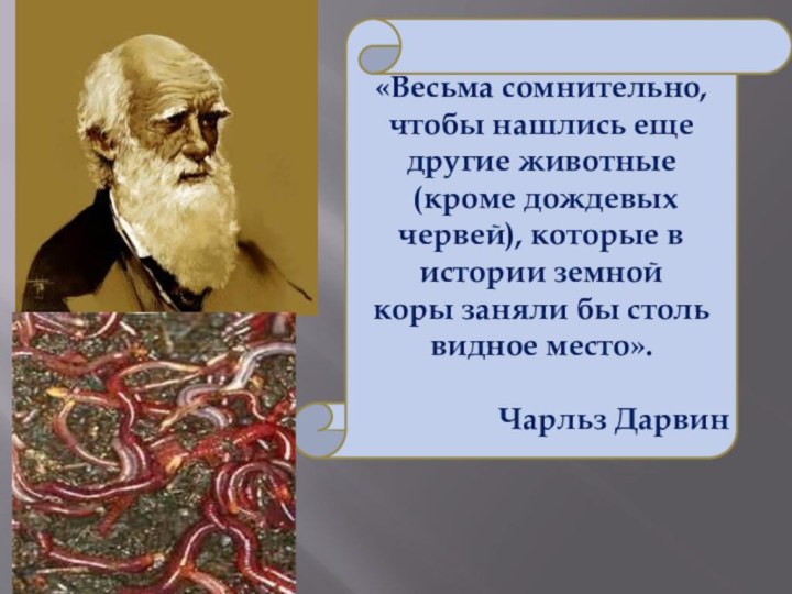 «Весьма сомнительно, чтобы нашлись еще другие животные (кроме дождевых червей),