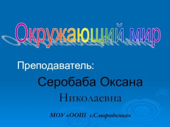 Презентация у уроку окружающий мир по теме Пожар