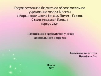 Презентация Воспитание трудолюбия у детей дошкольного возраста старшая группа