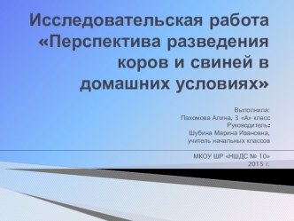 Презентация исследовательской работы Перспектива разведения коров и свиней в домашних условиях