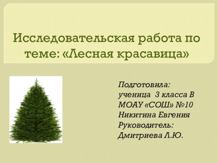 Исследовательская работа по теме: «Лесная красавица»Подготовила:ученица 3 класса ВМОАУ «СОШ» №10Никитина ЕвгенияРуководитель: Дмитриева Л.Ю.