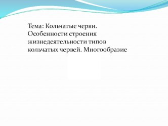 Презентация по биологии Кольчатые черви