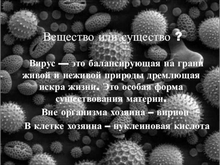 Вещество или существо ? Вирус — это балансирующая на грани живой и