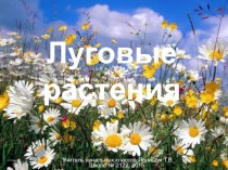 Презентация к интегрированному уроку по математике и окружающему миру. 2 класс